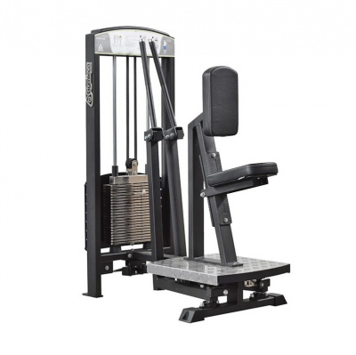 Gymleco 333 Задняя дельта | Premium Fitness