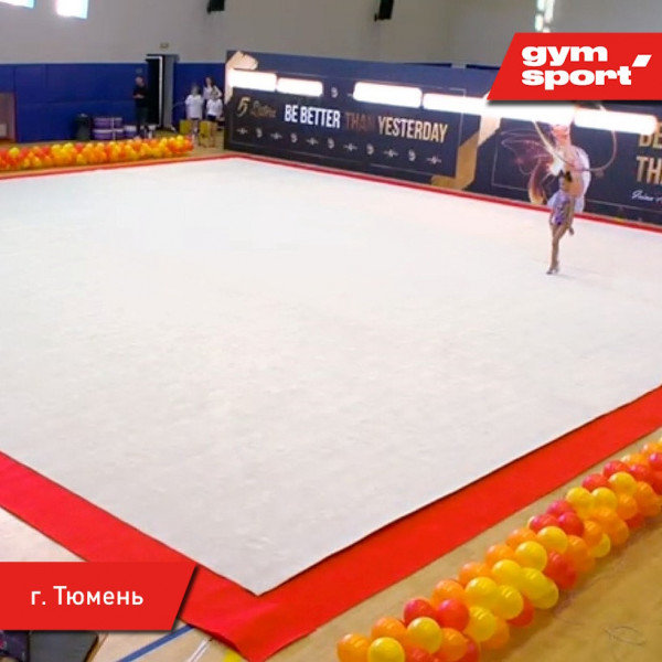 Ковер для эстетической гимнастики GymSport PROF 14Х14