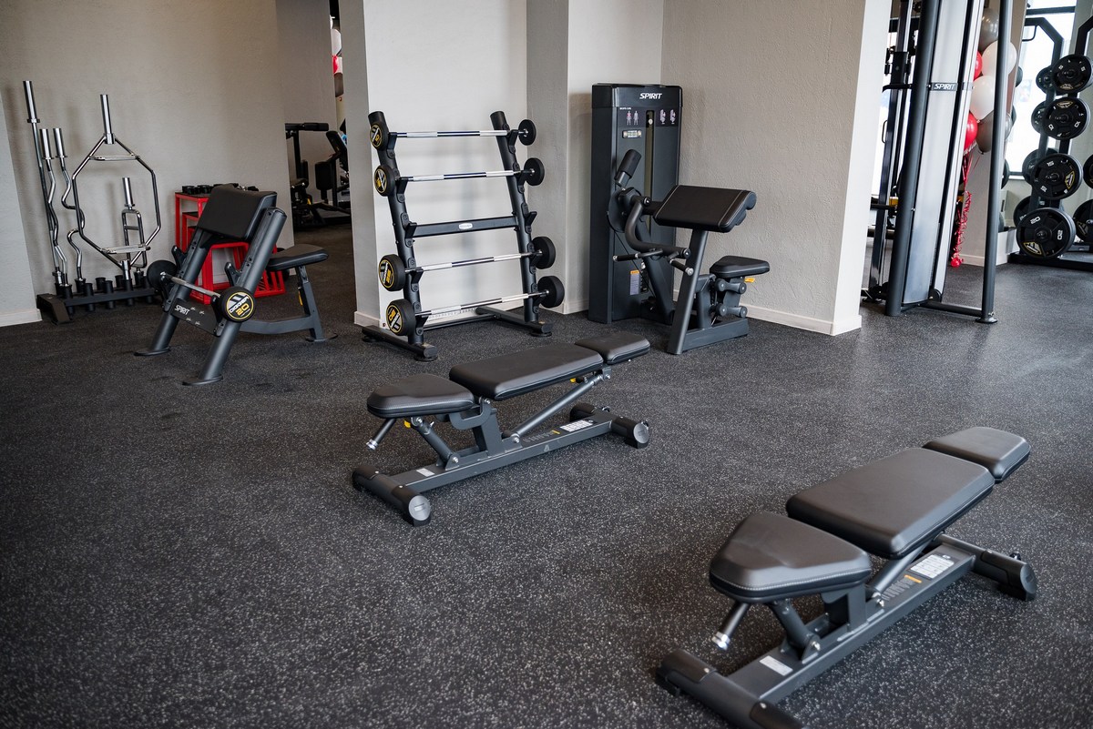 Скамья Скотта Spirit SP-4206 | Premium Fitness