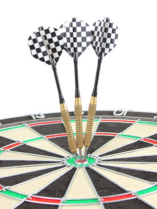 Мишень для игры в дартс сизаль, d45см Larsen Champion Training Board