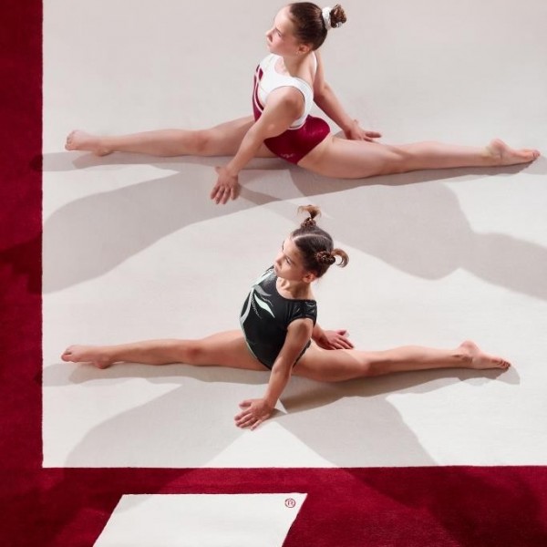 Ковер для эстетической гимнастики GymSport PROF PREMIUM RED 14Х14