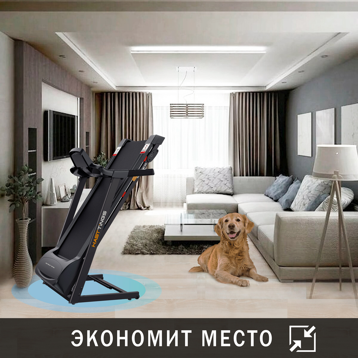 Беговая дорожка Hasttings Silver new