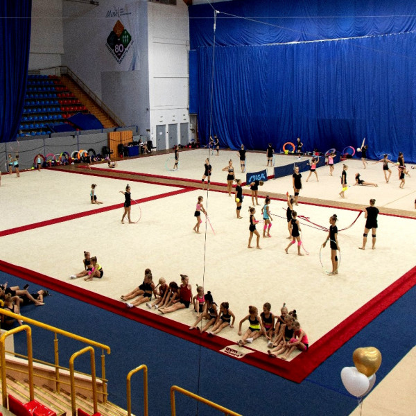 Ковер для эстетической гимнастики GymSport PROF PREMIUM RED 14Х14