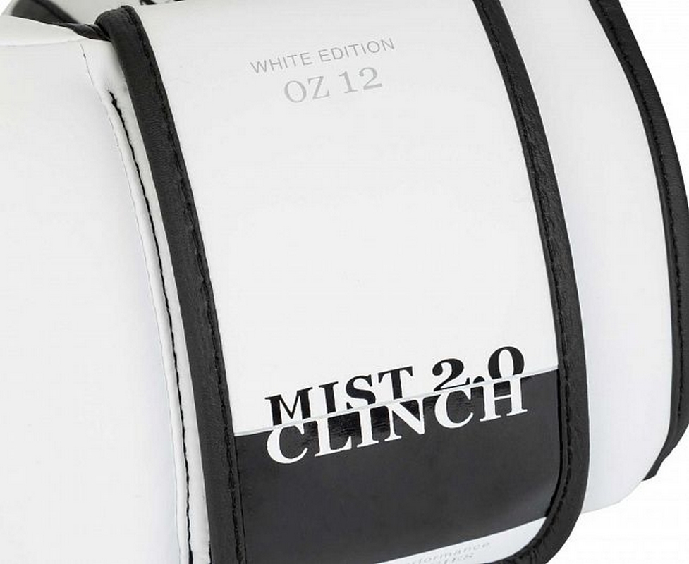 Перчатки боксерские Clinch Mist 2.0 C183 белый
