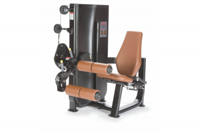 Сгибание Ног UltraGym LS-116