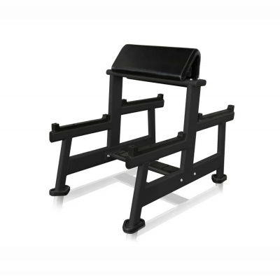 UltraGym Скамья Скотта UG-CL103 | Premium Fitness