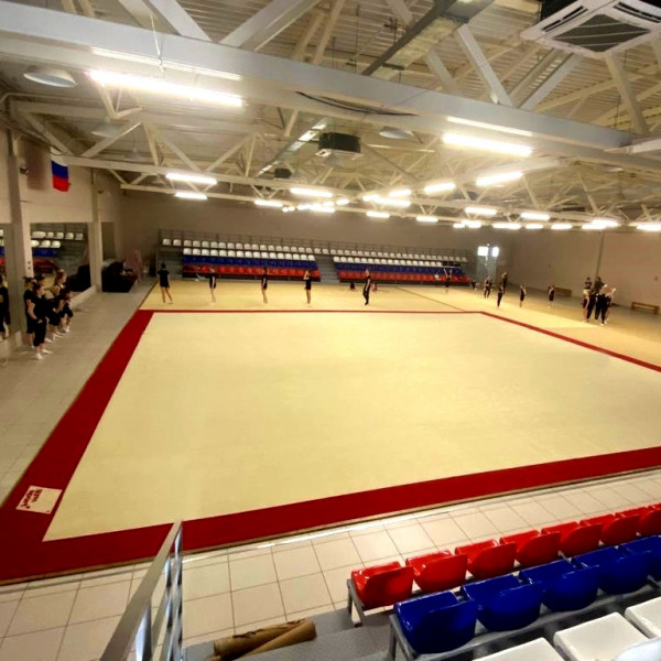 Ковер для эстетической гимнастики GymSport PROF PREMIUM RED 14Х14