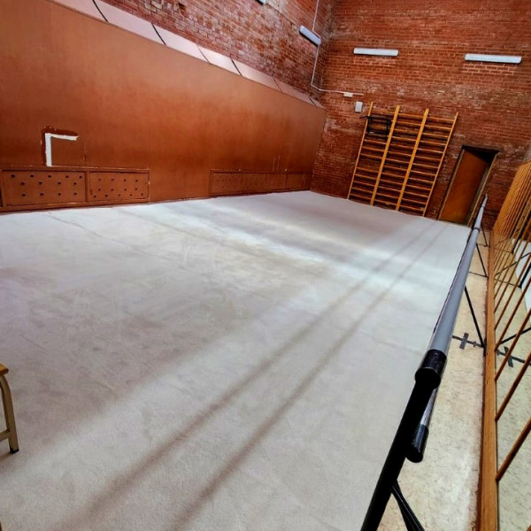 Ковер для эстетической гимнастики GymSport PROF 14Х14