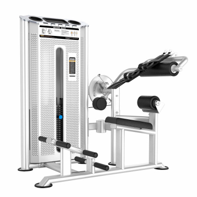 Пресс машина и разгибание спины DHZ Abdominal Isolator & Back Extension U-2088, стек 110 кг