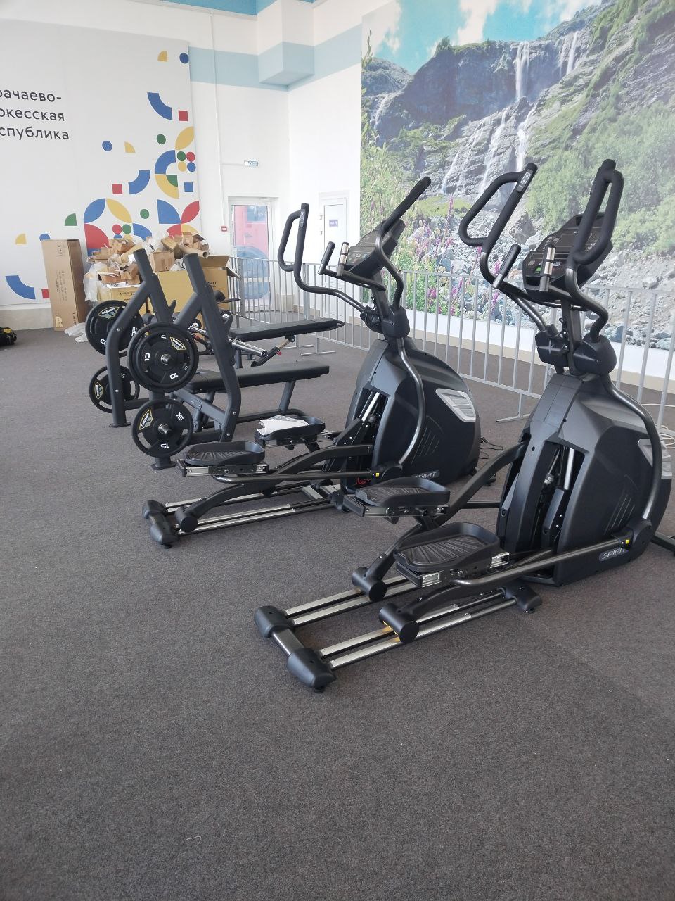 Скамья для жима горизонтальная Hasttings Digger HD004-4 | Premium Fitness