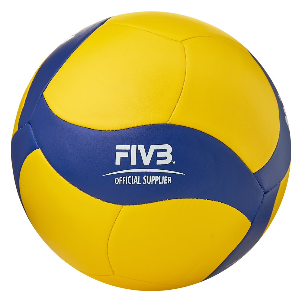 Мяч волейбольный Mikasa V360W р.5