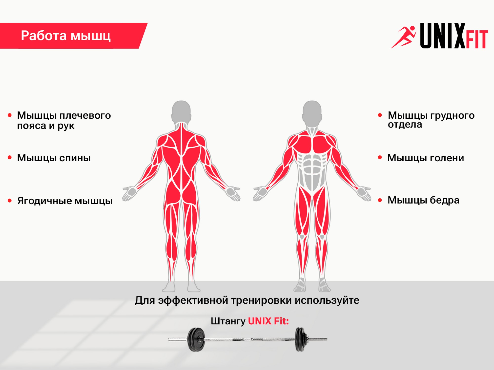 Стойка под штангу UnixFit FRAME 220 BSFR220 | Premium Fitness