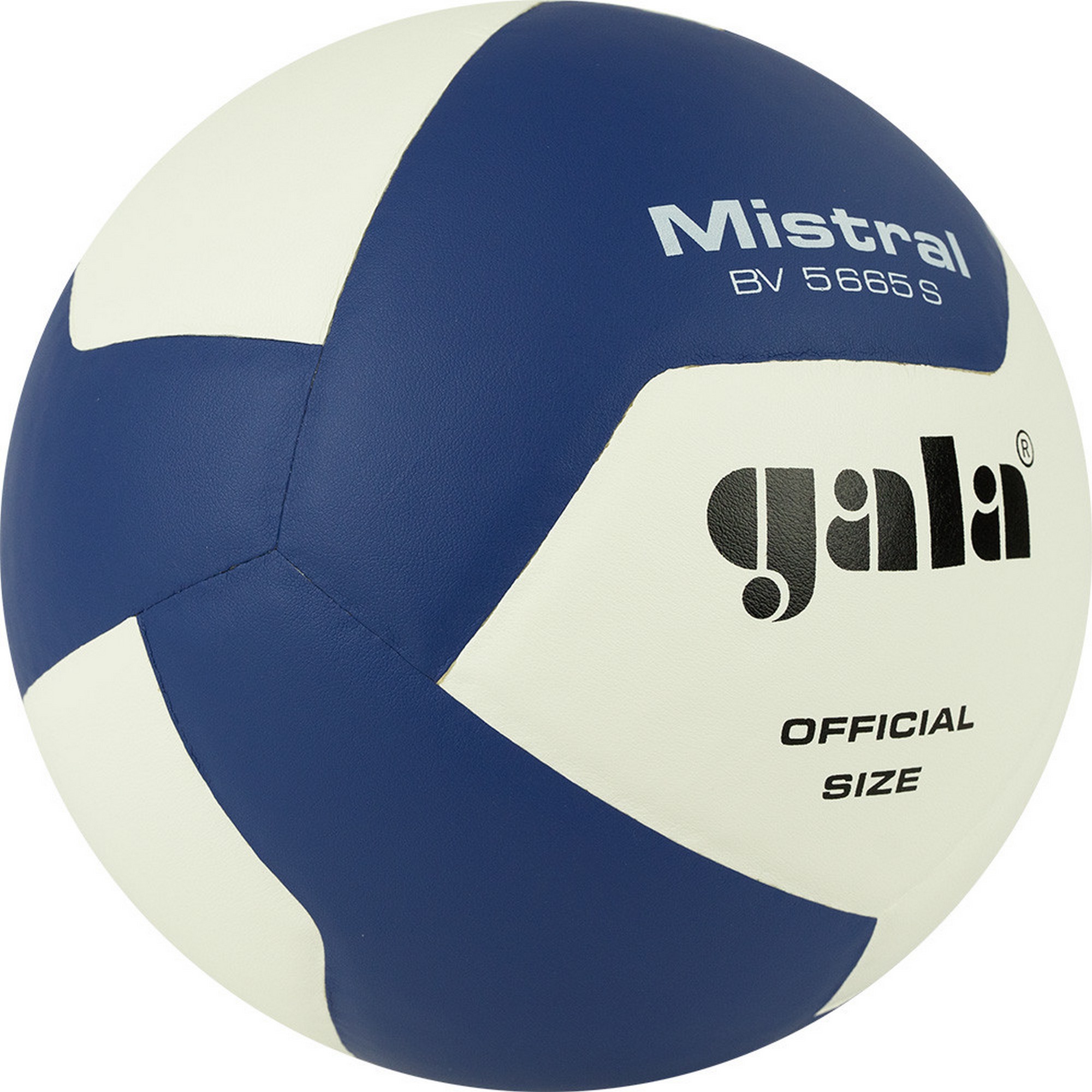 Мяч волейбольный Gala Mistral 12 BV5665S р. 5