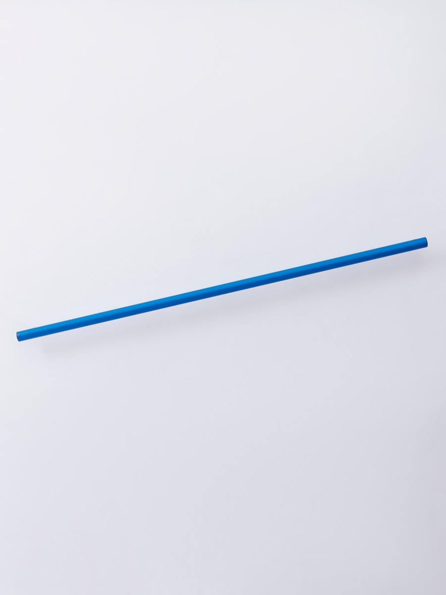 Гимнастическая палка (1m) FN Plastic Stick FN9011001-1-400 Blue