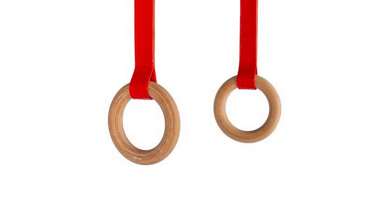 Гимнастические кольца детские TaiShan Happy Gymnastics TQ2087