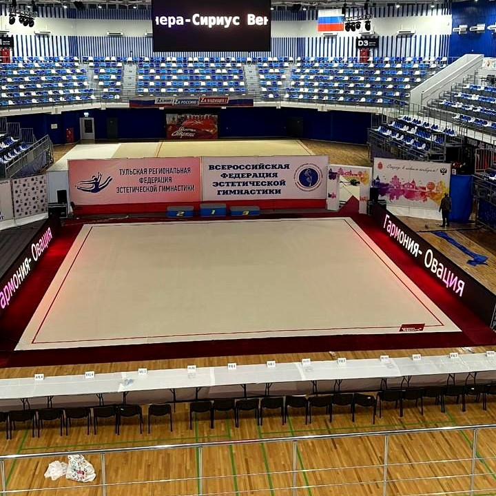 Ковер гимнастический GymSport PROF PREMIUM 4х2м
