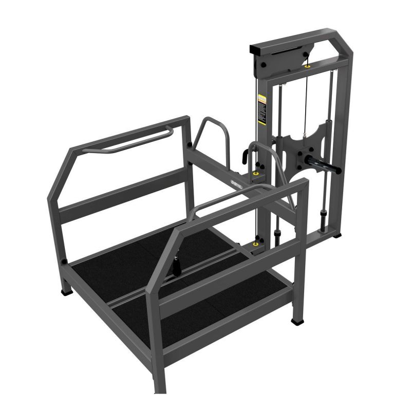 Приседания с поясом A3067 DHZ | Premium Fitness