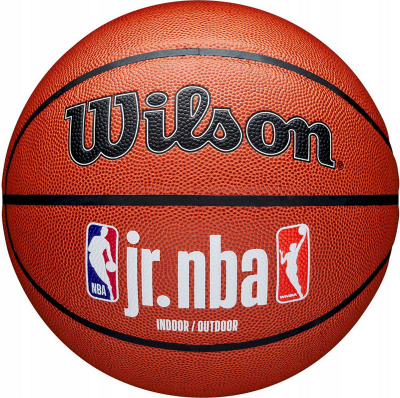 Мяч баскетбольный Wilson JR.NBA Fam Logo Indoor Outdoor WZ2009801XB7 р.7