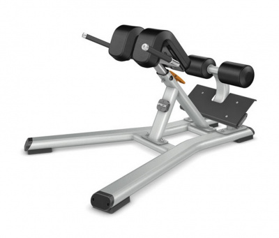 Precor Гиперэкстензия DBR312