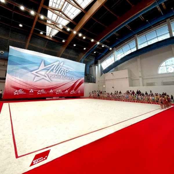 Ковер для эстетической гимнастики GymSport PROF PREMIUM 14х14м