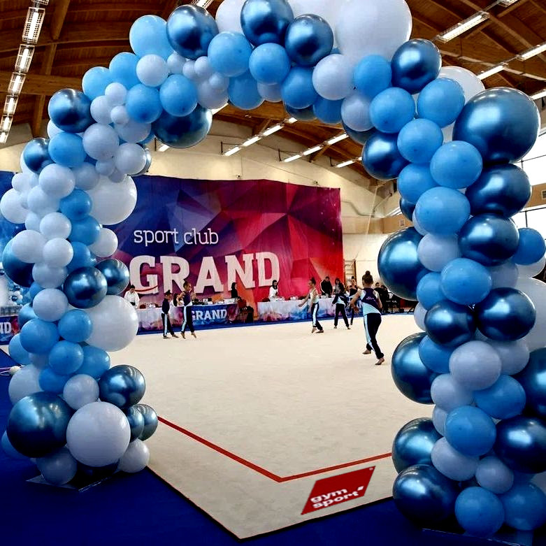 Ковер гимнастический GymSport PROF PREMIUM 4х2м