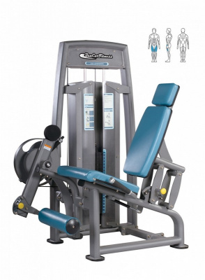 BenCarFitness TS-P041 Разгибание ног сидя