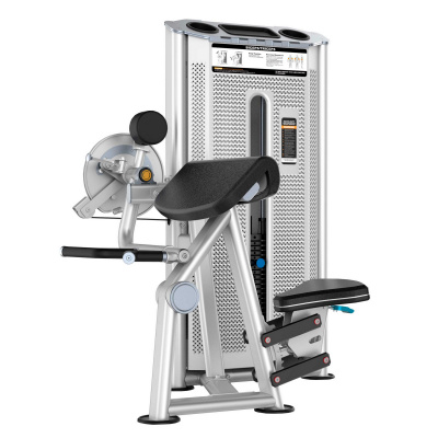 Бицепс/Трицепс сидя DHZ U2087 стек 110 кг