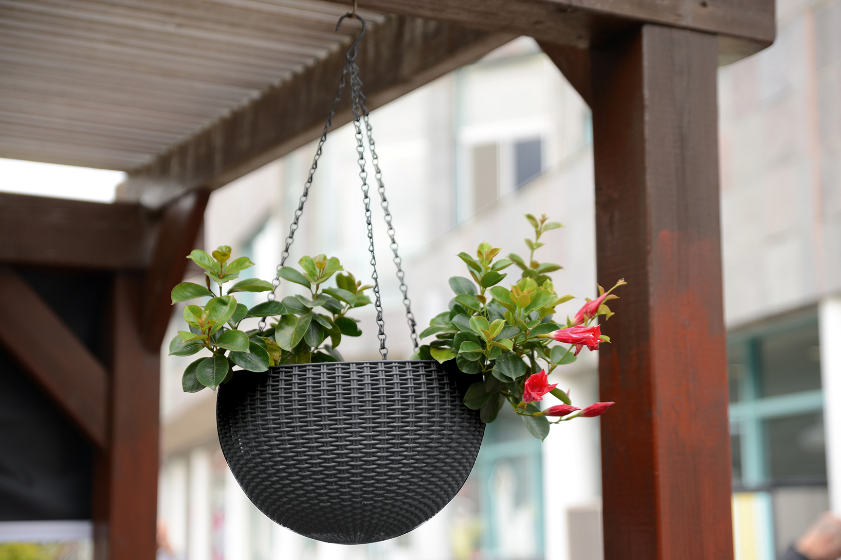 Подвесное кашпо, цвет графит Keter Rattan Hanging