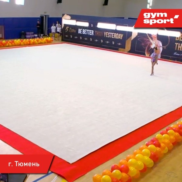 Ковер для художественной гимнастики GymSport PROF NEW 14Х14