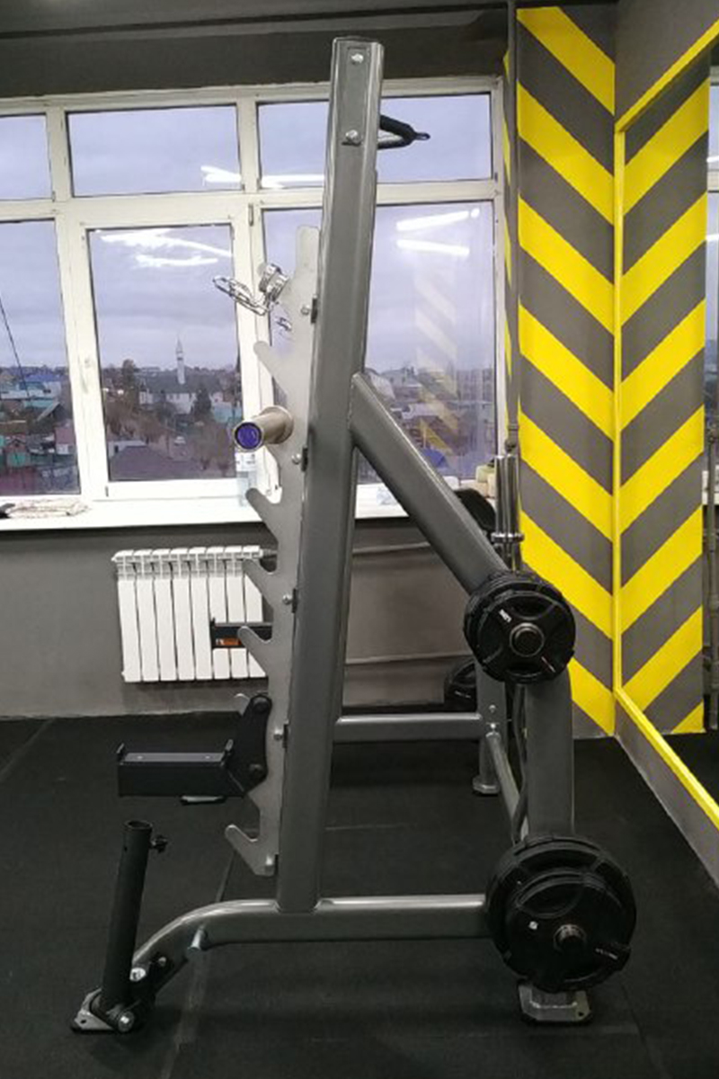 Стойка для жимов и приседов Hasttings Digger HD019-6 | Premium Fitness