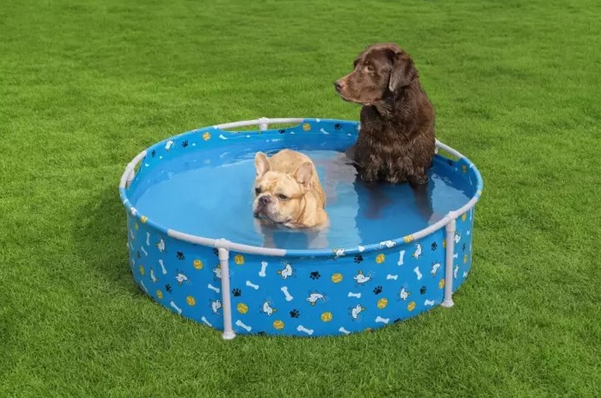 Каркасный бассейн для животных 122х30,5см Bestway Fetchin' Fun Pet Play Pool 561KM