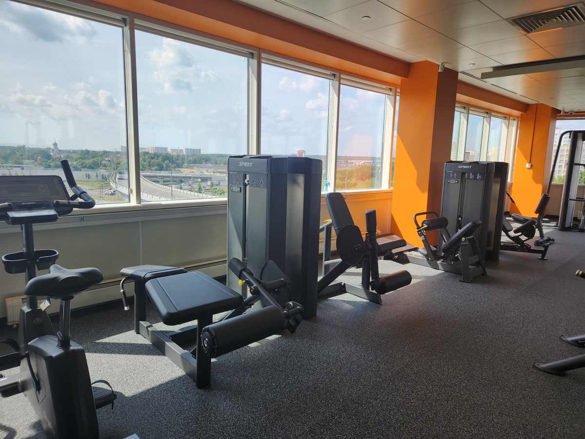 SPIRIT SP-4318 Сгибание ног стоя | Premium Fitness