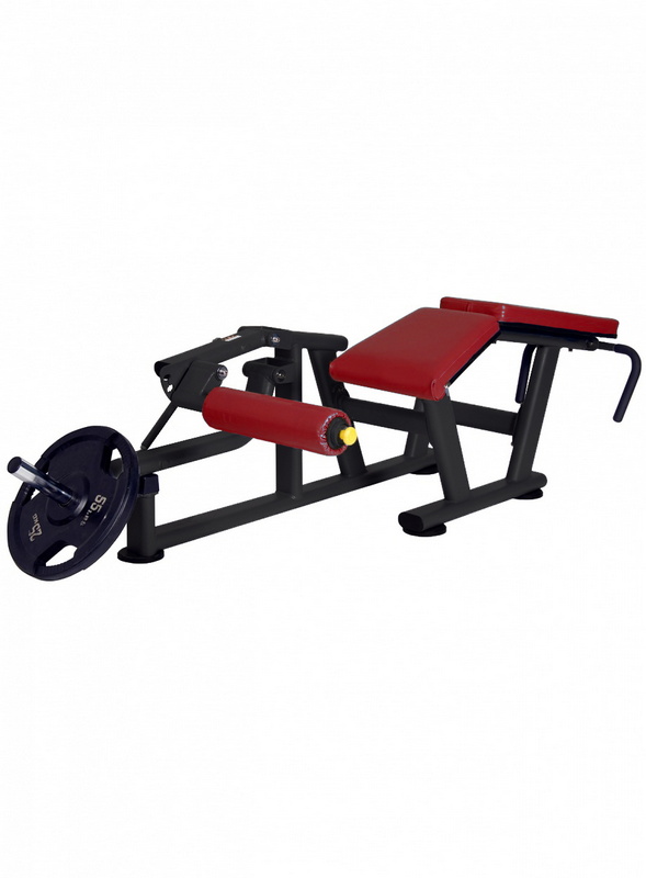 Сгибания Ног Лежа BenCarFitness TS-P012 | Premium Fitness