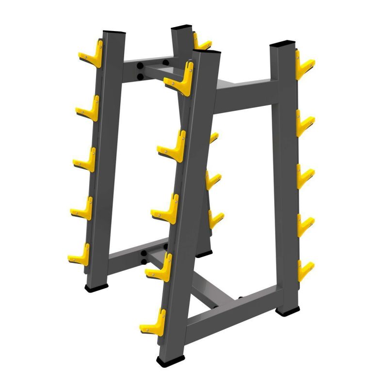Стойка для штанг 10 шт DHZ A3055 | Premium Fitness