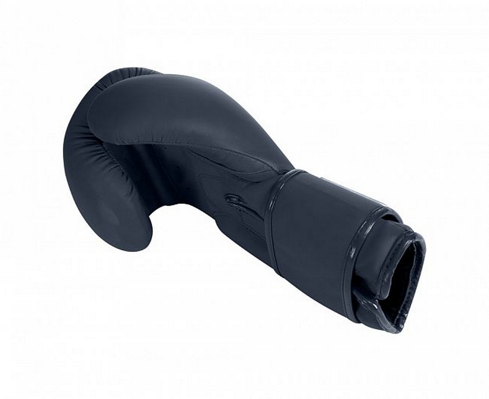 Перчатки боксерские Clinch Mist C143 черный