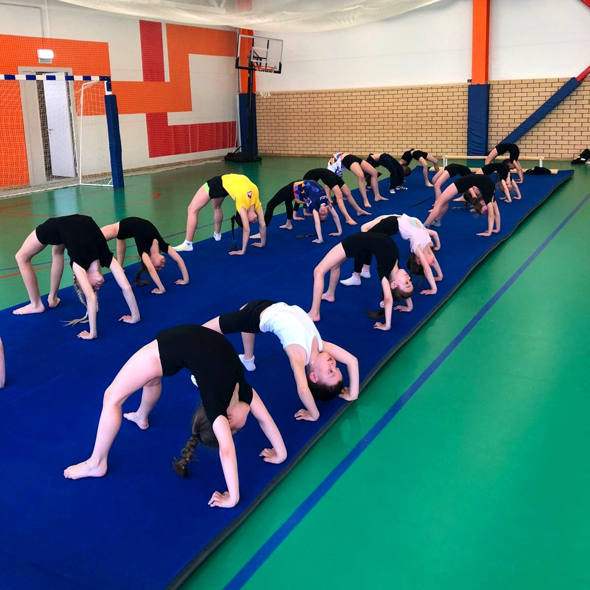 Ковер для спортивной гимнастики GymSport 14x14 Толщина 38 мм