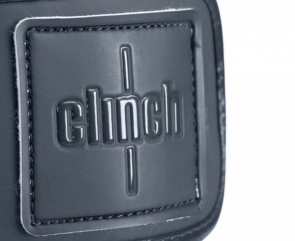Перчатки боксерские Clinch Mist C143 черный