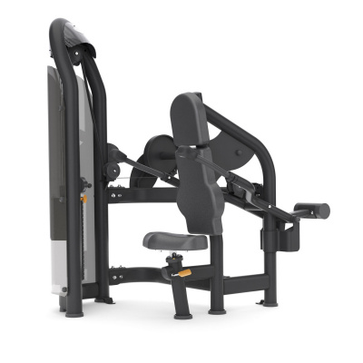 Matrix Aura G3-S42 Отжимание сидя | Premium Fitness