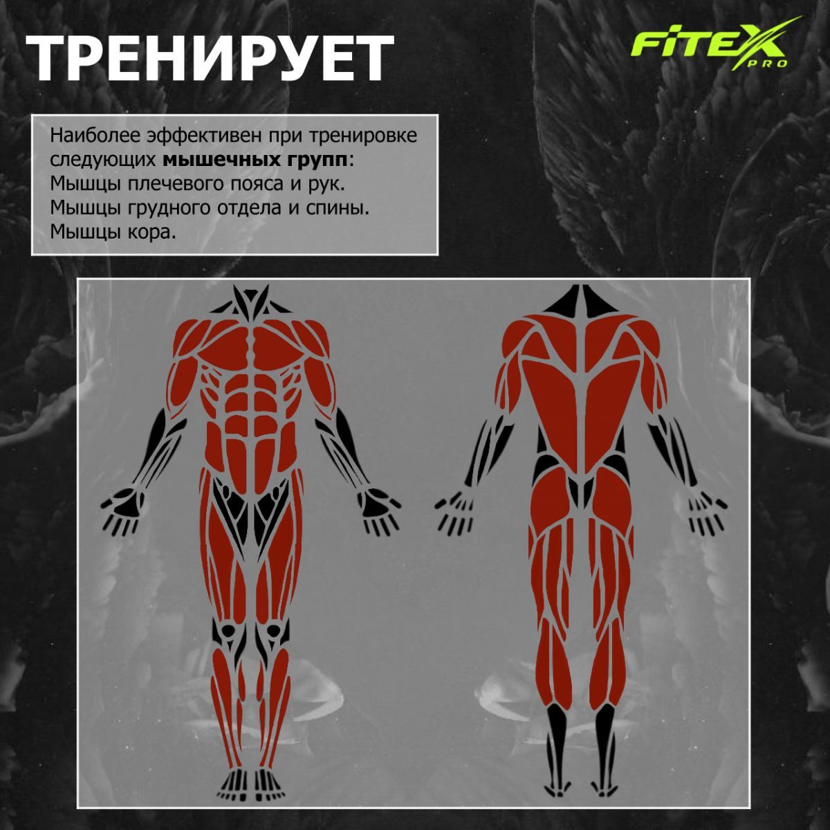 4-х позиционная станция Fitex Pro LUGANO FTX-5205 | Premium Fitness