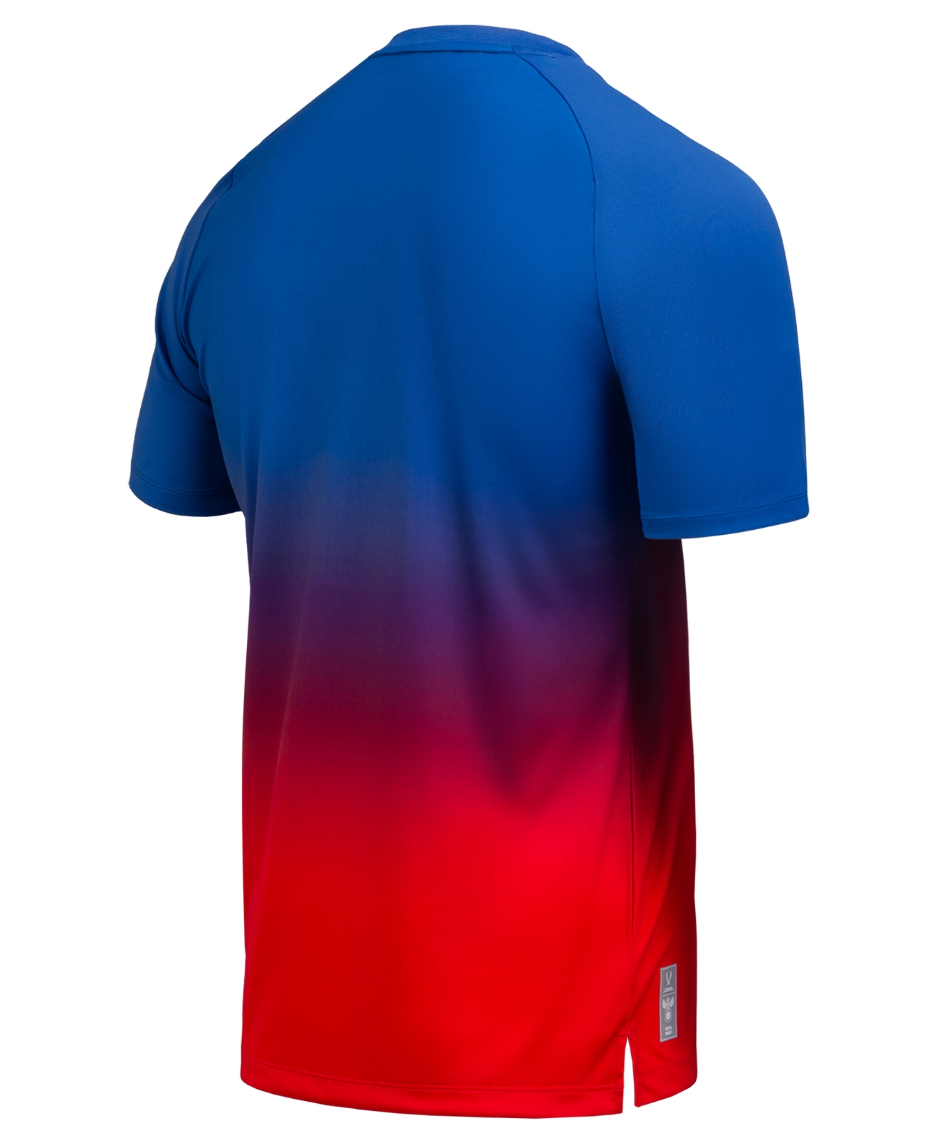 Футболка разминочная Jogel NATIONAL PerFormDRY Pre-Match Tee, сине-красный