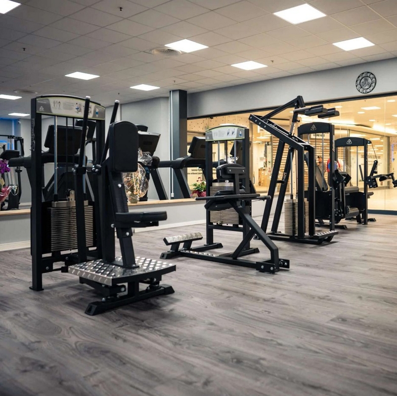 Gymleco 347 Голень стоя | Premium Fitness