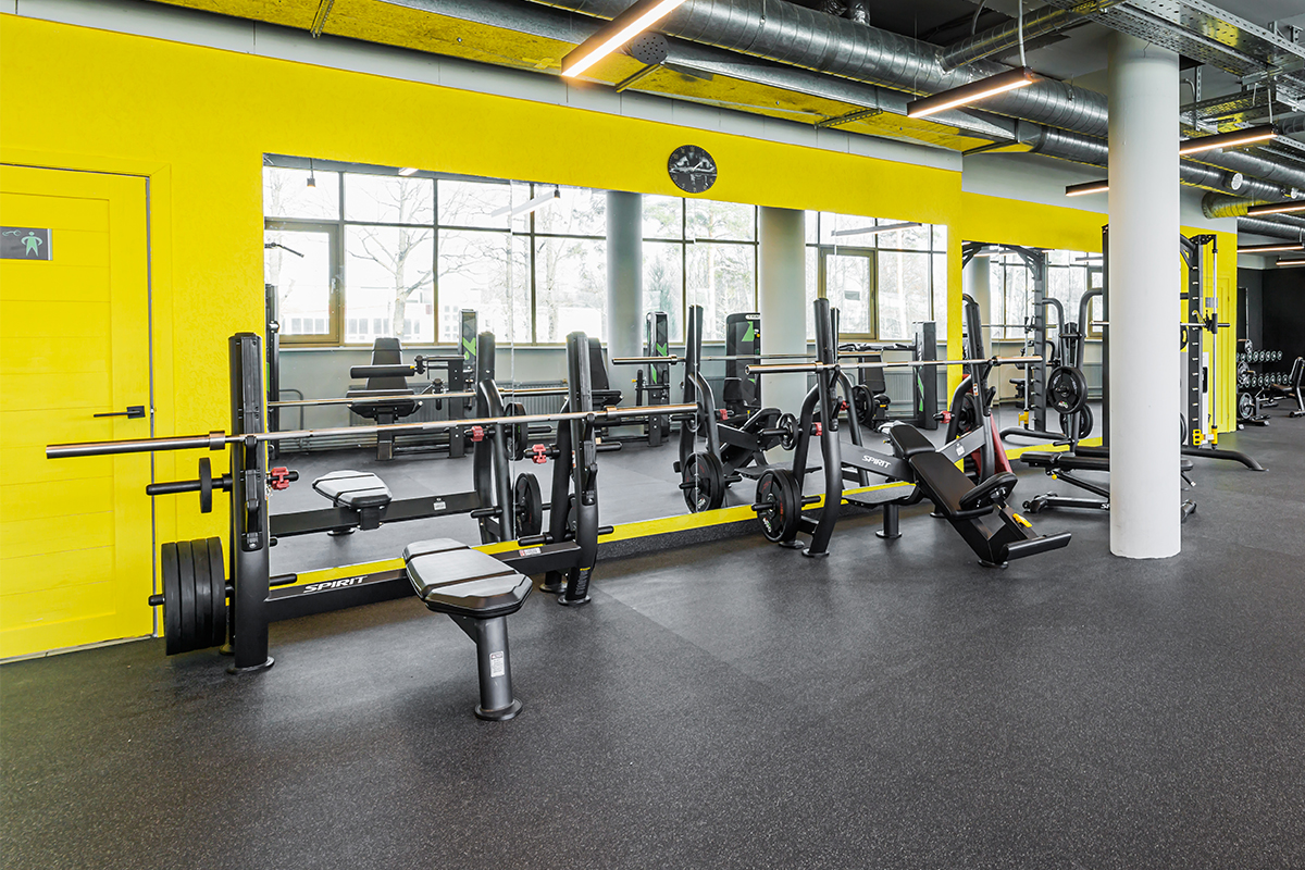 Олимпийская скамья для жима под углом SPIRIT SP-4210 | Premium Fitness