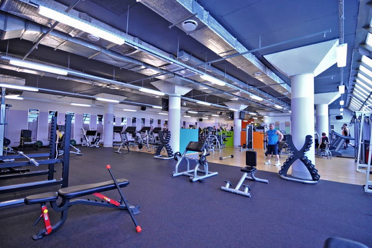 Многопозиционная скамья Impulse HSP7011 | Premium Fitness