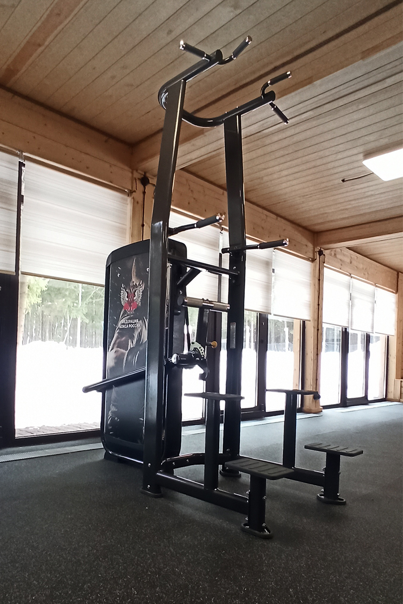 Отжимание и подтягивание с отягощением Spirit SP-3517