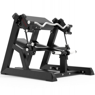 Impulse ECP501 Бицепс сидя | Premium Fitness