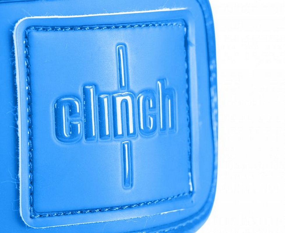 Перчатки боксерские Clinch Mist C143 синий
