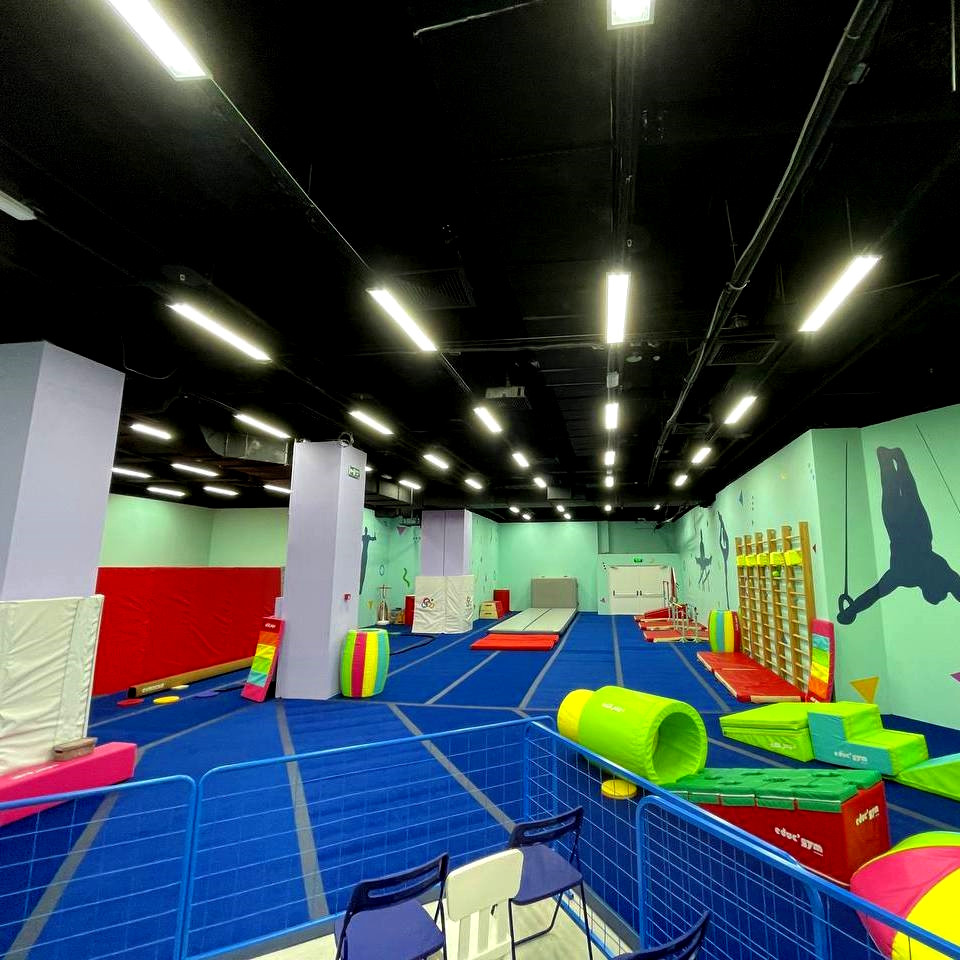 Ковер для спортивной гимнастики GymSport 14x14 Толщина 38 мм