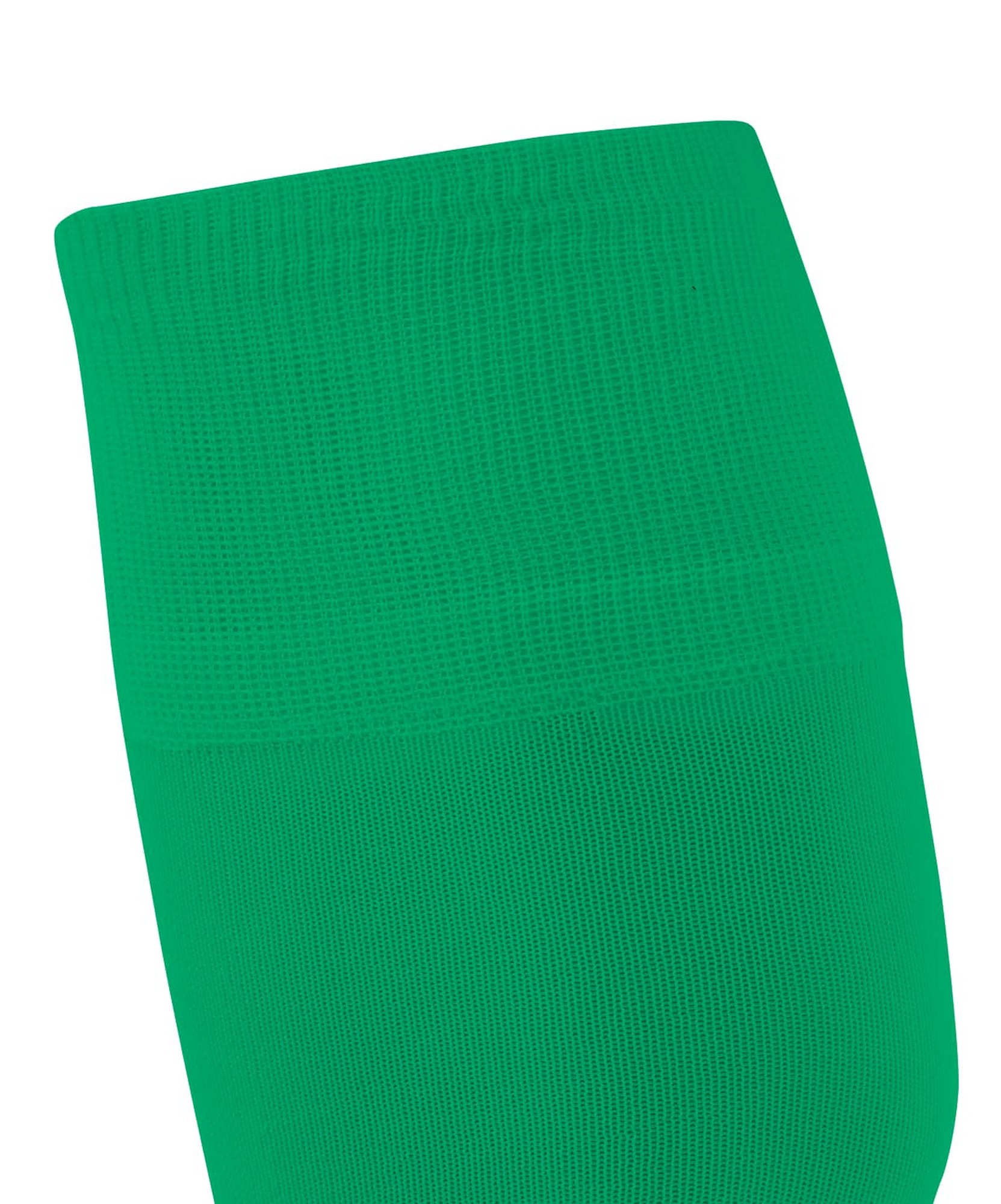 Гетры футбольные Jogel Camp Advanced Socks зеленый\белый