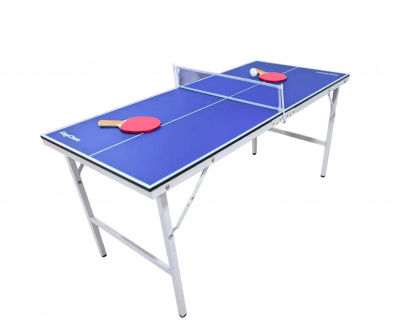 Теннисный стол 60" 150x67 см DFC RayChee RQ23001-PP