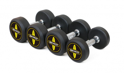 Набор гантелей PRO от 2,5 кг до 25 кг SkyFit SF-PRO-25